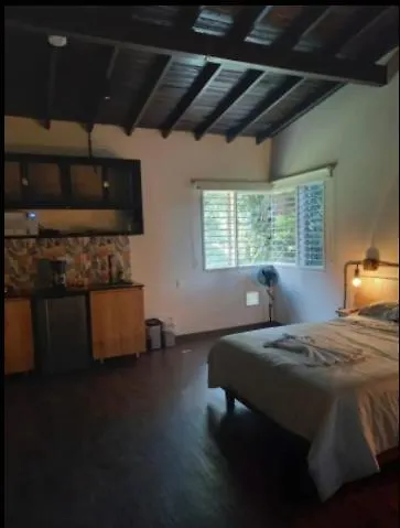 Loft Asequible En El Barrio Del Poblado Frn108 By Roots Rentals Medellín